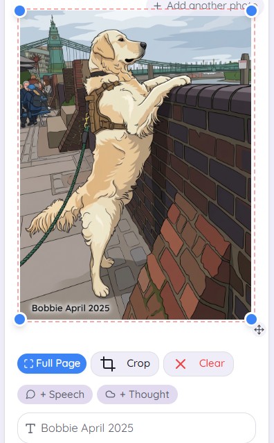 Cartoon version with caption