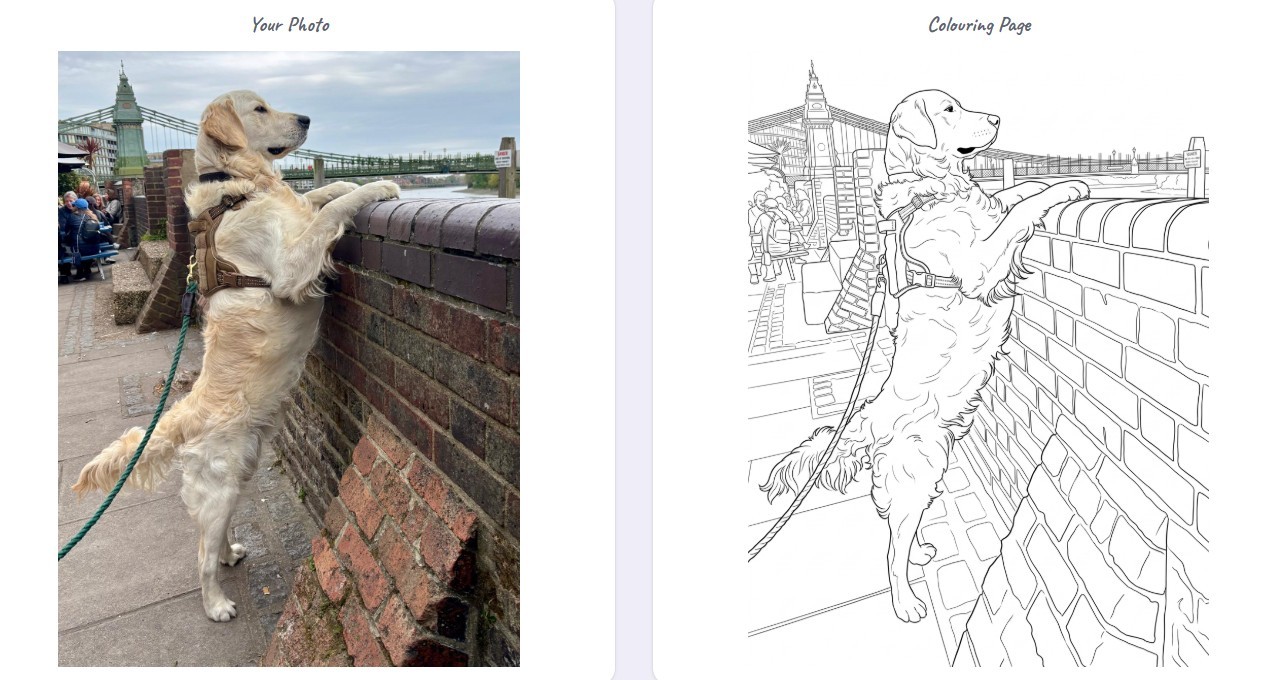 Photo turned into a colouring page